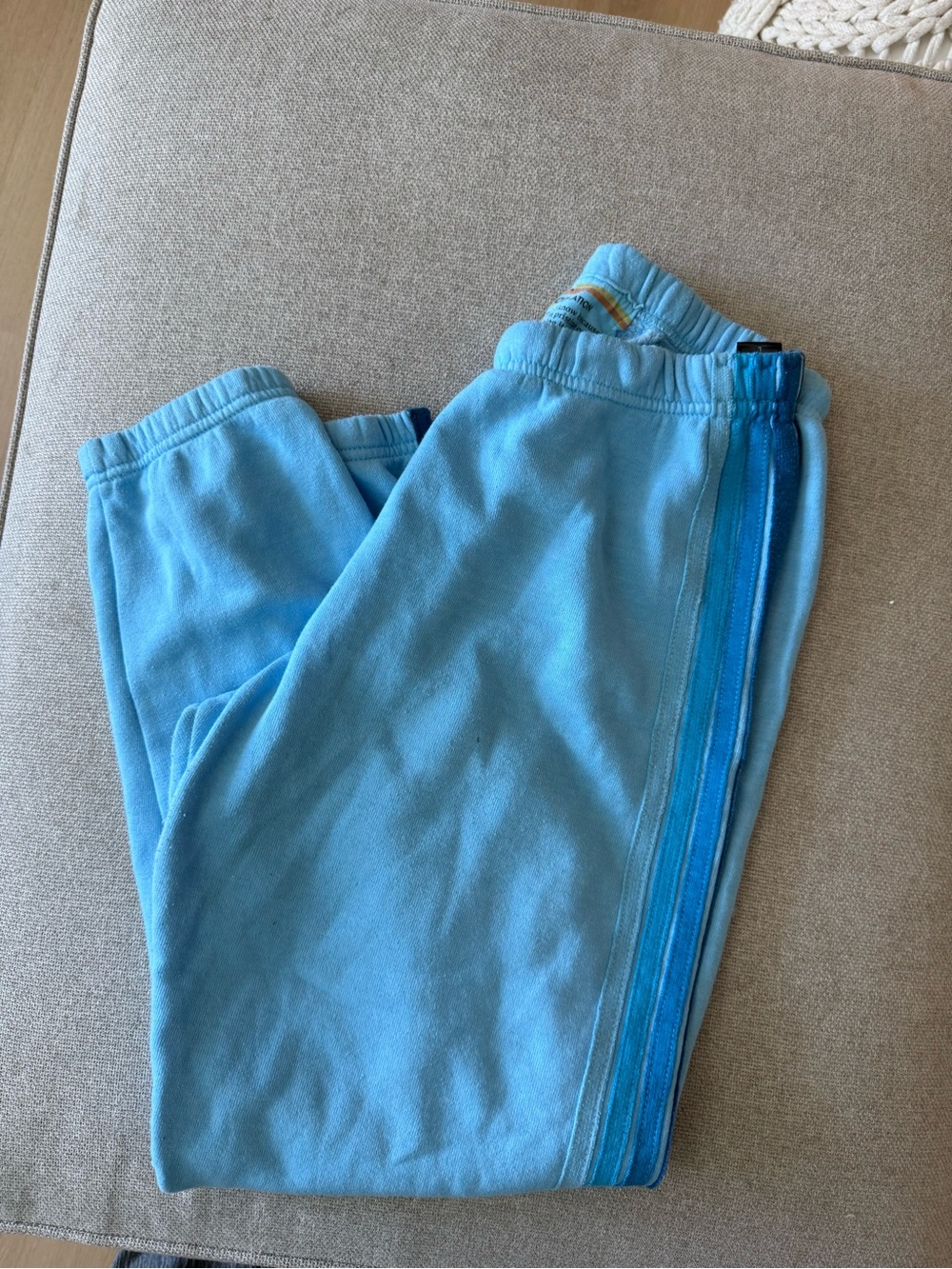 Blue Aviator Nation Sweats